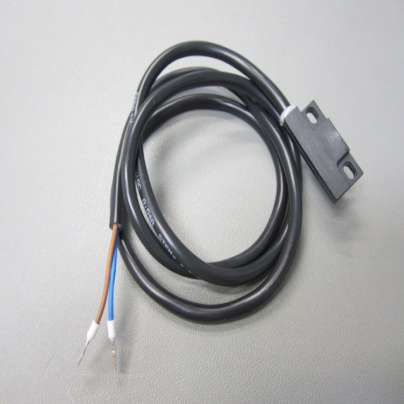 MAGNETIC MICROSWITCH