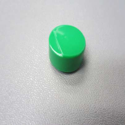 SWITCH COVER (HARD) GREEN